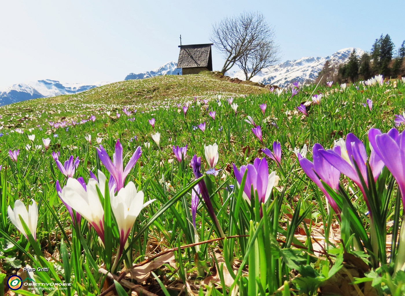 50 Alla bella stilizzata cappella Annovazzi della Pigolotta...tanti fiori .JPG